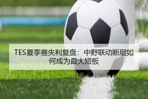 TES夏季赛失利复盘:中野联动断层如何成为最大短板